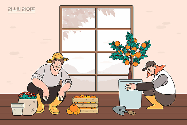 전신 모자 여자 남자 꽃 화분 일러스트 창문 귤 성인 두명 갈색 시골 나무상자 모종삽 전원생활 웅크림 귤나무 성인만 국내일러스트 AI파일 나무 식물 잡화 컬러 과일 모션 사람 생활 상자 삽 파일형식 벡터