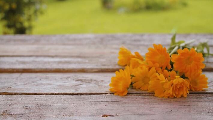전통 꽃 음료 오렌지 자연 유리 건강 사람없음 야외 목재 치료 컵 초록색 여름 약 노란색 정원 시골 신선 뜨거움 투명 닫기 차 허브 유리그릇 내추럴 금잔화 돌봄 4K MOV 해외동영상 클립영상 나무 식물 그릇 식기 계절 컬러 과일 재료 의학 모션 재질 생태계 동영상 파일형식