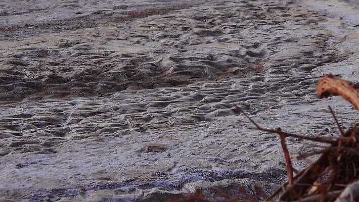 지구 백그라운드 오렌지 자연 표면 건조 사람없음 빨간색 갈색 환경 흙 사막 뜨거움 거친 황무지 균열 땅 부식 질감 먼지 점토 진흙 가뭄 다리찢기 내추럴 깨짐 땅바닥 생태학 탈수 4K MP4 해외동영상 클립영상 교육 컬러 컨셉 과일 모션 날씨 바닥 생태계 동영상 파일형식