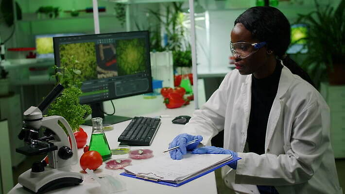 식물 직업 응시 과학 농업 유리 현미경 실험 사람없음 초록색 컴퓨터 환경 스크린 성장 기록 액체 그룹 엔지니어 실험실 생명공학 연구원 과학자 분석 유기농 생물학 튜브 발견 조제 혁명 개발 생태학 유전 유전자변형 피펫 살균 4K MOV 해외동영상 클립영상 웰빙 시선 교육 산업 컬러 컨셉 의학 재질 실험기구 전자제품 약 기술자 만들기 동영상 학자 파일형식
