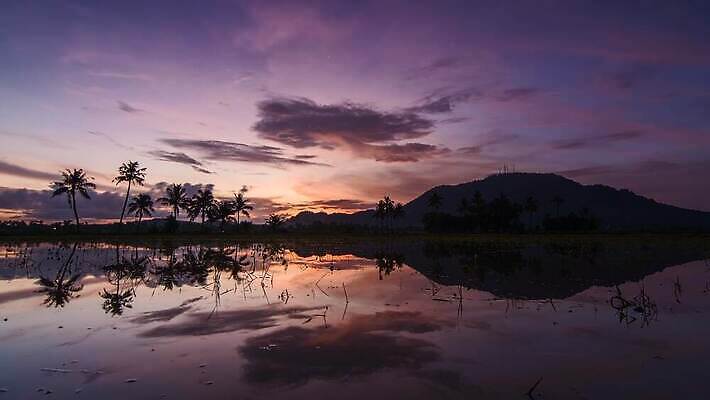 나무 실루엣 바다 자연 사람없음 야외 반사 일출 일몰 말레이시아 4K 타임랩스 MP4 해외동영상 클립영상 식물 아시아 촬영기법 노을 생태계 동영상 파일형식