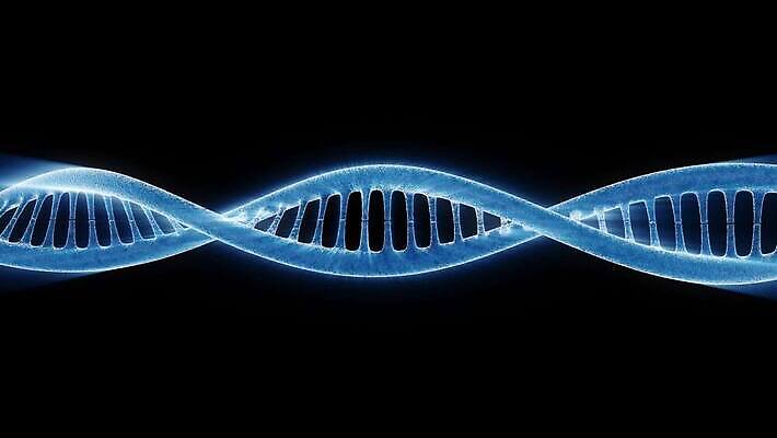 모양 디자인 줄기 컬러 과학 백그라운드 패턴 추상 프레임 세포 나선형 사람없음 그래픽 가로 파란색 약 디지털 확대 DNA 생명공학 생물학 만들기 염색체 발생 유전 MOV 해외동영상 클립영상 식물 교육 무늬 의학 모션 동영상 파일형식