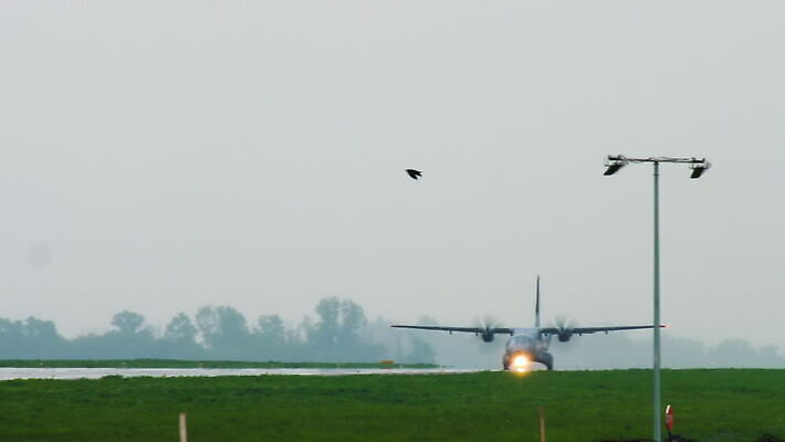 교통시설 하늘 아침 비행기 사람없음 화물 공항 항공 상업 제트기 승객 엔진 대패 착륙 접근 항공사 4K 알마티 MOV 해외동영상 클립영상 주간 산업 교통 항공교통 대중교통 운송업 시설 동영상 카자흐스탄 파일형식
