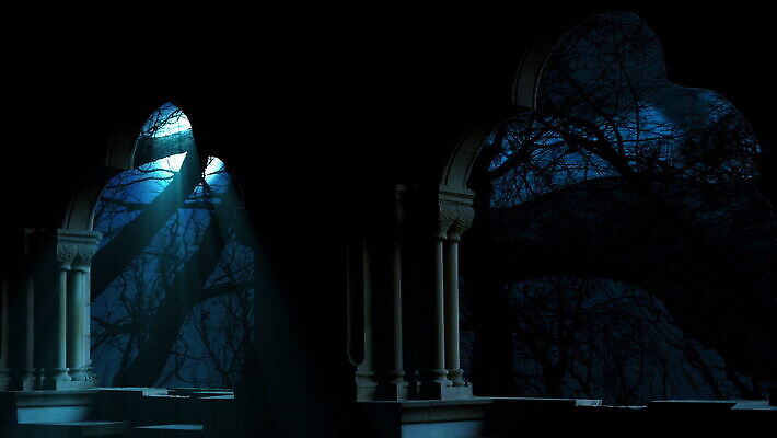 나무 구름 실루엣 별 백그라운드 컨셉 모션 자연 하늘 풍경 사람없음 파란색 빛 우주 검은색 어둠 고요 황혼 새벽 별자리 꿈 할로윈 보름달 달 나뭇가지 야간 숲 신비 무서움 달빛 가득함 필름 상승 장면 점성술 천문학 애니메이션 광 벌거벗은 호러 MOV 해외동영상 클립영상 자연요소 식물 교육 감정 컬러 촬영기법 일몰 생태계 공포 동영상 파일형식