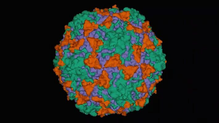 모양 모델 컬러 과학 백그라운드 패턴 모션 표면 봉투 건강 사람없음 그래픽 초록색 컬러풀 약 3D 바이러스 질병 생물학 회전 감염 미생물 애니메이션 기하학 고립 단백질 대칭 돌리기 복잡 엘리먼트 규칙적 MP4 해외동영상 클립영상 교육 컨셉 무늬 의학 생물 디지털합성 동영상 영양소 파일형식
