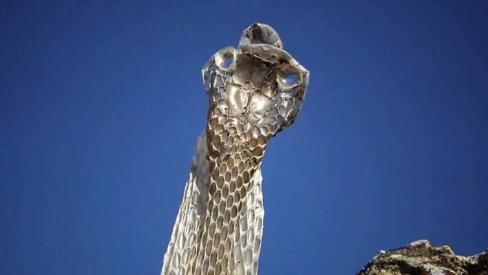 유럽 자연 저울 사람없음 주사위 내추럴 허물 4K MP4 해외동영상 클립영상 나라 생태계 동영상 파일형식