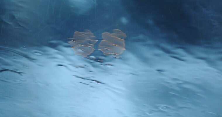 모양 구름 공원 컬러 여행 백그라운드 겨울 패턴 창문 모션 자동차 자연 유리 날씨 추상 거리 사람없음 물 빛 반사 노란색 정원 봄 젖음 흐름 물방울 투명 액체 붓기 소프트포커스 빗방울 달빛 질감 폭풍 블러 샤워실 4K MOV 해외동영상 클립영상 자연요소 계절 공공시설 육상교통 컨셉 무늬 재질 촬영기법 달 비_날씨 생태계 동영상 샤워시설 파일형식