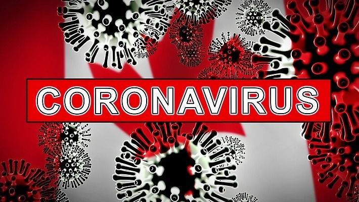 컨셉 단풍 캐나다 세포 실험 사람없음 글로벌 중국 고통 죽음 깃발 바이러스 질병 위험 예방 감염 전염 애니메이션 백신 벤쿠버 전염병 증상 사스 코로나바이러스 4K 락다운 MOV 해외동영상 클립영상 감정 아시아 잎 북아메리카 의학 동영상 파일형식