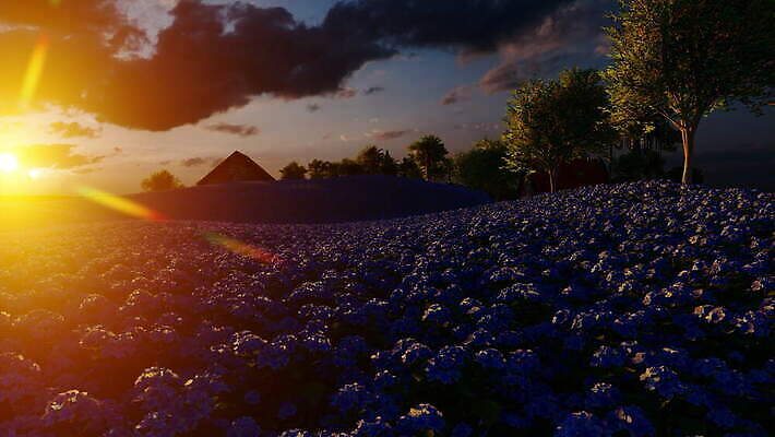 식물 꽃 자연 사람없음 야외 파란색 포르투갈 수국 4K MOV 해외동영상 클립영상 유럽 컬러 생태계 동영상 파일형식