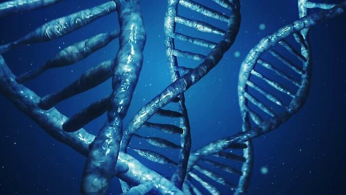 모양 디자인 줄기 컬러 과학 백그라운드 패턴 추상 프레임 세포 나선형 건강 미술 사람없음 그래픽 가로 파란색 약 디지털 확대 DNA 생명공학 생물학 만들기 염색체 발생 유전 MOV 해외동영상 클립영상 식물 교육 무늬 의학 모션 문화예술 동영상 파일형식