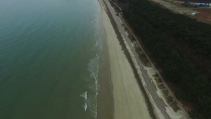 나무 선 모래 파도 바다 여행 백그라운드 자연 휴가 휴식 한국 손바닥 사람없음 야외 건물 초록색 물 파란색 여행객 평화 침묵 흰색 고도 태평양 항공촬영 드론 비어있는 4K MOV 해외동영상 클립영상 자연요소 식물 건축물 손 아시아 뷰포인트 컬러 컨셉 사람 소리 생태계 동영상 파일형식