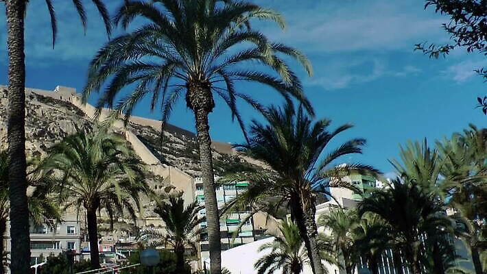 유럽 벽 바다 여행 건축양식 자연 하늘 휴가 사람없음 야외 건물 물 파란색 산타클로스 교회 여행객 탑 항구 맑음 도시 역사 스페인 지중해 묘사 항공촬영 랜드마크 알리칸테 옛날 스타일 MOV 해외동영상 클립영상 자연요소 건축물 건축 나라 뷰포인트 컬러 크리스마스 종교건축 교통시설 날씨 사람 생태계 동영상 파일형식