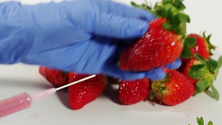 손 과학 컨셉 농업 과일 딸기 건강 실험 주사기 신선 액체 실험실 유기농 잡종 농약 예방접종 유전 유전자변형 화학물질 4K MP4 해외동영상 클립영상 웰빙 산업 의료기기 신체부위 화학 동영상 접종 파일형식