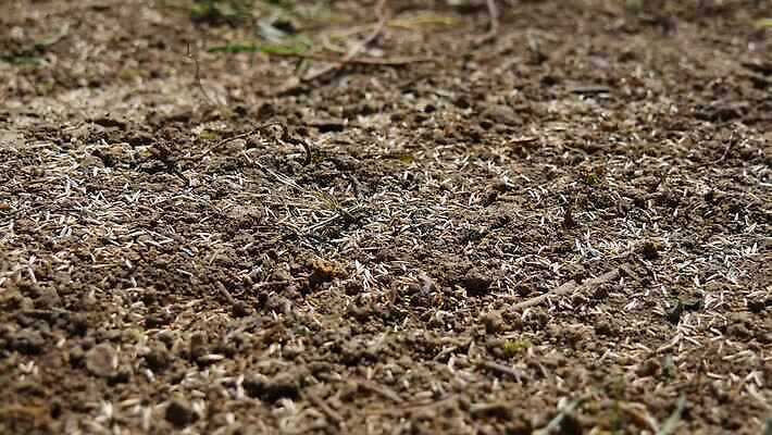 식물 계절 지구 자연 씨앗 사람없음 갈색 정원 흙 성장 농부 준비 원예 내추럴 땅바닥 모종 밭일 심기 파종 세련 4K MP4 해외동영상 클립영상 직업 컬러 모션 바닥 취미 농사 생태계 동영상 파일형식