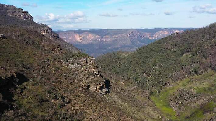 나무 구름 여행 잎 자연 하늘 불 산 안테나 풍경 사람없음 야외 초록색 파란색 갈색 환경 계곡 호주 숲 언덕 드론 4K MP4 해외동영상 클립영상 자연요소 식물 컬러 통신 오세아니아 생태계 동영상 파일형식
