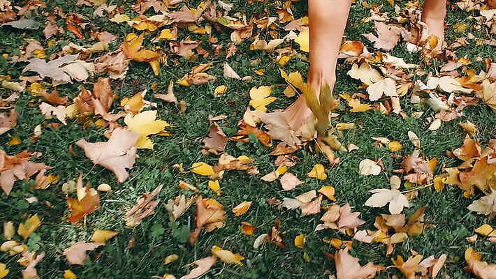 라이프스타일 공원 낙엽 잎 맨발 자연 한명 사람 초록색 MOV 해외동영상 슬로모션 클립영상 식물 1 공공시설 컬러 발 촬영기법 생활 생태계 동영상 파일형식