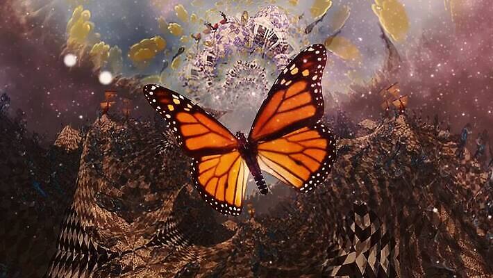 별 길 나비 모션 상상 조류 불 동화 불꽃 이야기 미술 사람없음 빛 평화 고요 새벽 꿈 소용돌이 달 뜨거움 고속도로 떨어짐 더위 신비 폭발 매움 화재 포도나무 공상 마법 천국 연소 무한 엘리먼트 파멸 화상 몽환 수평선 MOV 해외동영상 클립영상 자연요소 동물 도로 곤충 컨셉 날씨 문화예술 회오리 맛 상처 과일나무 사건 동영상 파일형식 소멸