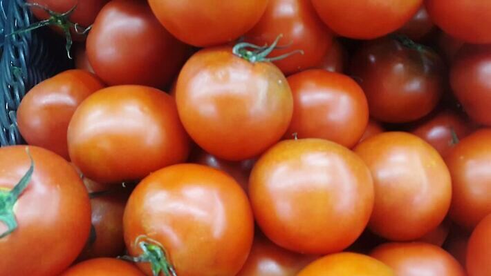 잡화 계절 백그라운드 농업 다이어트 과일 디저트 건강 요리 사람없음 초록색 상점 식당 수확 신선 양념 상품 유기농 원예 비타민 건강식 슈퍼마켓 내추럴 고립 채식주의자 맛있는 4K MOV 해외동영상 클립영상 웰빙 산업 음식 컬러 취미 채식 동영상 영양소 파일형식