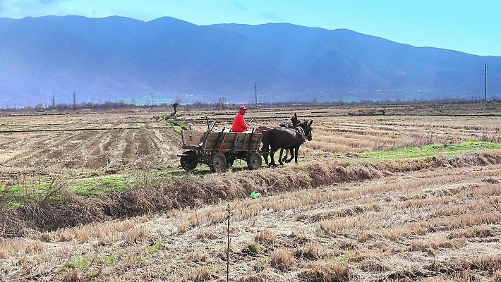 동물 전통 남자 행복 유럽 도로 길 여행 밭 농업 가족 교통시설 자연 거리 사람 풍경 초원 사람없음 여름 농장 마을 카트 시골 농부 오솔길 은퇴 향수 장면 마차 루마니아 루트 방법 밭일 옛날 우크라이나 4K MP4 해외동영상 클립영상 직업 계절 감정 나라 산업 교통수단 교통 관계 화장품 시설 생태계 동영상 파일형식