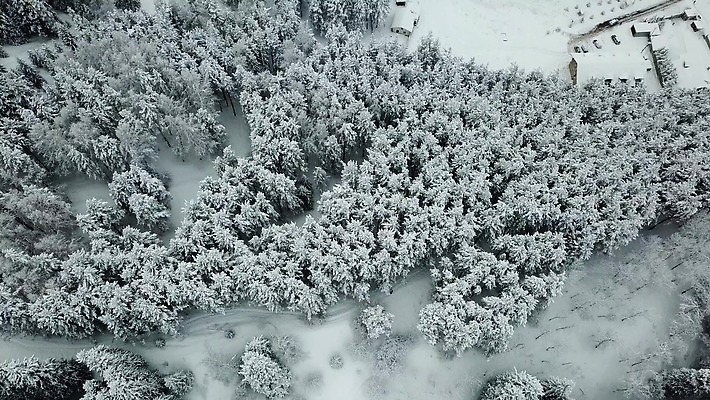 나무 도로 여행 백그라운드 크리스마스 겨울 자국 자연 날씨 새해 산 안테나 사람없음 야외 냉동 추위 안개 흰색 나뭇가지 소나무 정상 숲 언덕 서리 전나무 흐림 눈보라 항공촬영 드론 제설기 카자흐스탄 눈내림 가문비나무 4K 알마티 MP4 해외동영상 클립영상 식물 계절 기념일 아시아 길 뷰포인트 컬러 통신 교통시설 눈_날씨 생태계 동영상 제설 파일형식