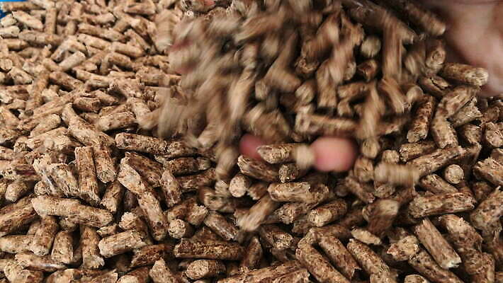 손 불 사람없음 목재 쌓기 재활용 에너지 잡기 소나무 뜨거움 난로 에코 벽난로 연료 전나무 내추럴 수목 압축 화상 많음 4K MOV 해외동영상 클립영상 자연요소 나무 컨셉 재료 모션 신체부위 환경 상처 난방기 친환경 동영상 파일형식