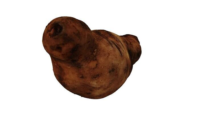 모델 음식 백그라운드 채소 사람없음 세로 농작물 3D 흰색 고리 보행로 달콤 오브젝트 회전 만들기 뿌리 고립 돌리기 무한 스캔 완벽 진짜 페루 현실 디테일 MP4 해외동영상 클립영상 길 컬러 컨셉 농업 모션 남아메리카 맛 디지털합성 동영상 파일형식