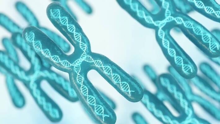 백그라운드 세포 현미경 사람없음 파란색 3D 정보 흰색 DNA 생명공학 생물학 미생물 염색체 유전 4K MOV 해외동영상 클립영상 교육 컬러 의학 생물 실험기구 디지털합성 동영상 파일형식