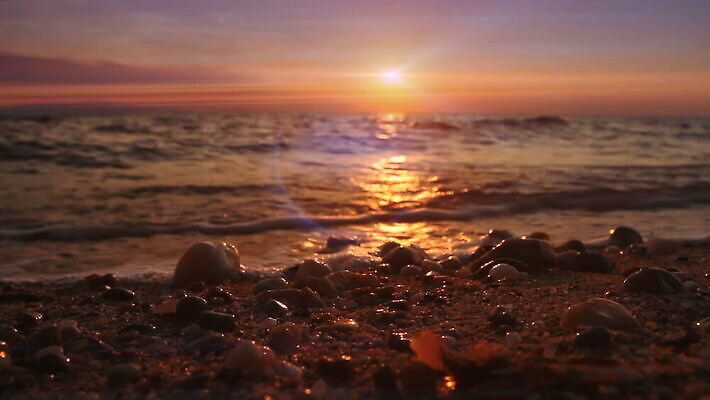 실루엣 파도 바다 여행 백그라운드 오렌지 자연 하늘 휴가 휴식 사람없음 빨간색 물 빛 모래사장 햇빛 태양 노란색 일출 맑음 황혼 일몰 새벽 낭만 광선 서핑 황금 하와이 공상 스카이라인 내추럴 파라다이스 하와이인 수평선 MOV 해외동영상 클립영상 자연요소 외국인 컬러 컨셉 과일 날씨 촬영기법 노을 미국 수상스포츠 생태계 동영상 파일형식