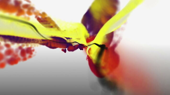 식물 구름 디자인 꽃잎 꽃 파도 컬러 백그라운드 무지개 모션 벽지 추상 잉크 사람없음 그래픽 장식 빛 컬러풀 페인트 활발 젖음 흐름 소용돌이 흰색 물방울 신선 액체 닫기 떨어짐 매끈함 이슬 묘사 질감 강렬 고립 엘리먼트 혼란 4K 유체 MOV 해외동영상 클립영상 자연요소 바다 컨셉 무늬 회오리 감각 동영상 파일형식