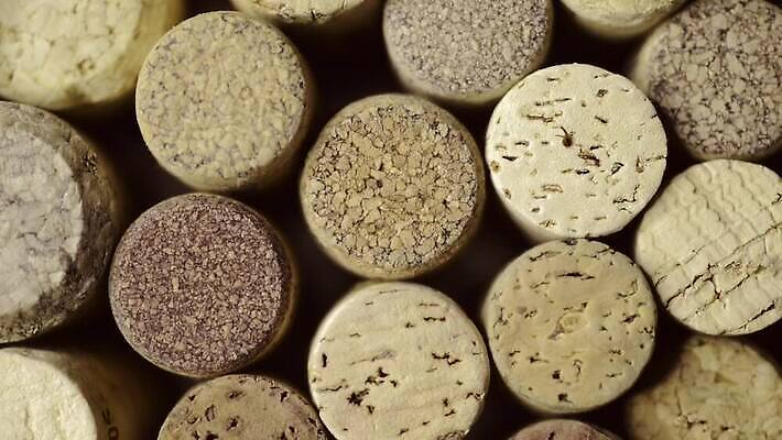 산업 백그라운드 사람없음 목재 와인 마개 기구 회전 코르크 내추럴 양조장 많음 MOV 해외동영상 클립영상 나무 컨셉 재료 주류 뚜껑 동영상 파일형식