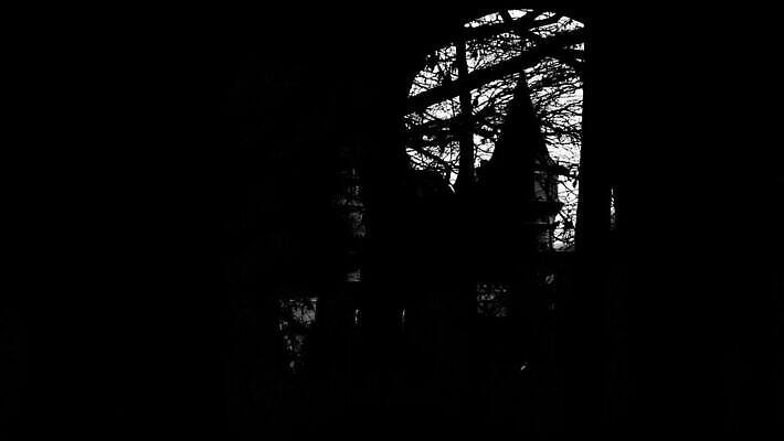 나무 구름 디자인 계절 백그라운드 하늘 휴가 사람없음 목재 파란색 빛 탑 검은색 어둠 할로윈 안개 달 흰색 성 중세 역사 야간 신비 무서움 맨션 달빛 가득함 묘사 언덕 과거 박쥐 공상 나쁜 고딕 고립 호러 오싹 MOV 해외동영상 클립영상 자연요소 식물 건축물 감정 컬러 컨셉 재료 포유류 날씨 주택 공포 동영상 파일형식