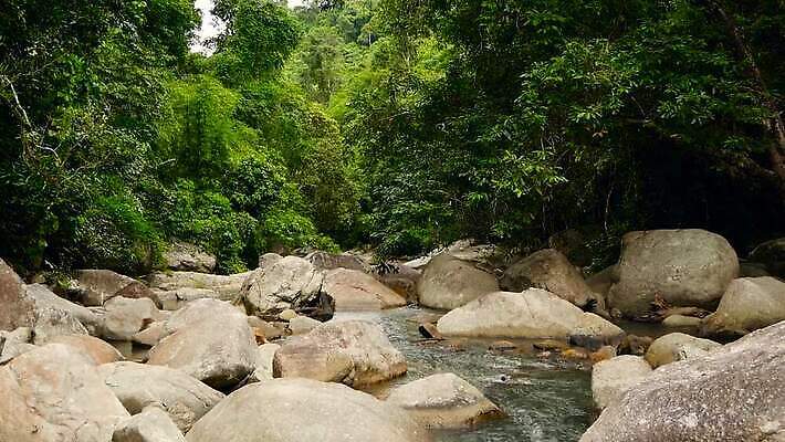나무 백그라운드 단풍 잎 자연 휴식 국립공원 풍경 사람없음 강 반사 스파 침묵 고요 폭포 젖음 흐름 전원 개울 급류 숲 열대우림 명상 깊이 삼림지대 이국적 지속성 파라다이스 스플래쉬 반복 MP4 해외동영상 클립영상 식물 공원 컨셉 소리 전기에너지 생태계 동영상 파일형식