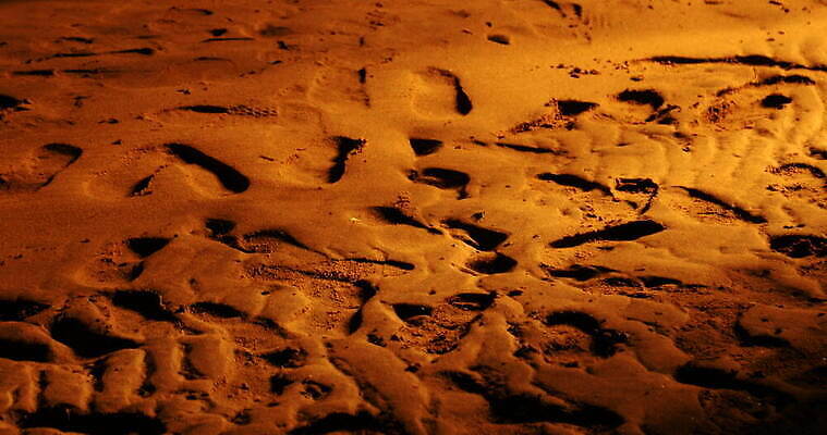 디자인 아시아 도로 모래 파도 여행 백그라운드 패턴 자연 추상 휴가 미술 사람없음 환경 맑음 희망 사막 시간 뜨거움 구멍 야간 저녁 사파리 언덕 질감 온도 동쪽 고립 방법 오해 진짜 케랄라주 4K MOV 해외동영상 클립영상 자연요소 감정 나라 길 바다 무늬 교통시설 날씨 문화예술 인도_나라 방향 생태계 동영상 파일형식