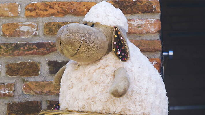 벽 사람없음 야외 장식 장난감 바구니 원형 네덜란드 합성 기념품 부드러움 솜털 양인형 4K MOV 해외동영상 클립영상 도형 유럽 인형 감각 오브젝트 동영상 파일형식