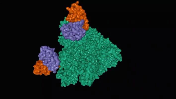 모델 컬러 과학 백그라운드 자연 표면 건강 사람없음 컬러풀 약 갈색 3D 검은색 바이러스 생물학 역동적 신호 감염 애니메이션 스파이크 고립 단백질 돌리기 복잡 사스 코로나바이러스 MP4 해외동영상 클립영상 교육 컨셉 의학 모션 질병 디지털합성 생태계 동영상 영양소 파일형식