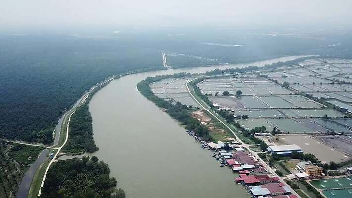 산업 아시아 여행 백그라운드 하늘 낚시 열대 주택 안테나 어류 동양인 사람없음 야외 물 컬러풀 농장 마을 수확 시골 보트 어장 말레이시아 내추럴 밭일 사방 4K 페낭 MP4 해외동영상 클립영상 자연요소 나라 컬러 농업 배_교통 통신 레저 인종 건물 수중동물 동영상 파일형식