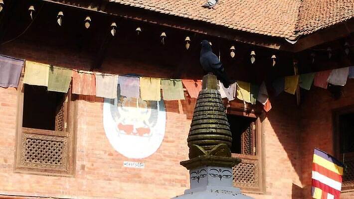 전통 디자인 외관 종교 문화 줄 조각 여행 불교 건축양식 조류 아침 지붕 벽돌 동양인 사람없음 야외 건물 컬러풀 햇빛 평화 자유 기도 깃발 도시 사찰 그룹 역사 재산 타일 비둘기 정사각형 신성 네팔 옛날 카트만두 MP4 해외동영상 클립영상 주간 도형 동물 건축물 건축 아시아 컬러 컨셉 종교건축 인종 금융 태양 동영상 파일형식