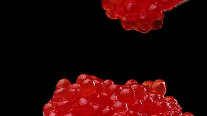 음식 바다 오렌지 재료 공 건강 어류 사람없음 빨간색 금속 검은색 식사 흐름 신선 고급 맛 아침식사 해산물 날것 연어 점심식사 절임 짠맛 캐비아 맛있는 4K MOV 해외동영상 클립영상 컬러 컨셉 과일 식재료 재질 수중동물 동영상 파일형식