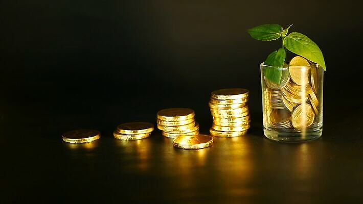 나무 식물 컨셉 잎 돈 비즈니스 모션 유리 성공 미래 잔 사람없음 컵 초록색 금융 경제 노란색 달러 동전 검은색 저축 성장 항아리 재산 황금 구부린 암호 계획 심볼 회전 투자 이익 느림 대출 관심 수입 연금 MOV 해외동영상 슬로모션 클립영상 식기 컬러 재질 촬영기법 도자기 동영상 파일형식