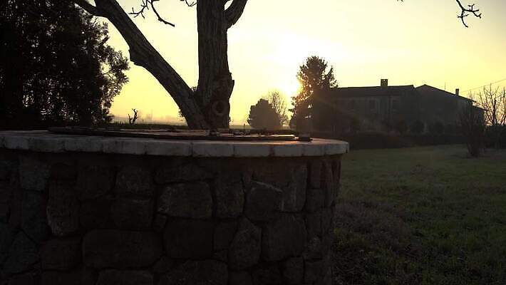 식물 자연 하늘 아침 따뜻함 풍경 잔디 사람없음 야외 초록색 여름 파란색 빛 햇빛 태양 농장 노란색 일출 맑음 황혼 일몰 새벽 시골 저녁 언덕 우물 수평선 4K MP4 해외동영상 클립영상 주간 자연요소 계절 컬러 농업 날씨 노을 야간 생태계 동영상 파일형식