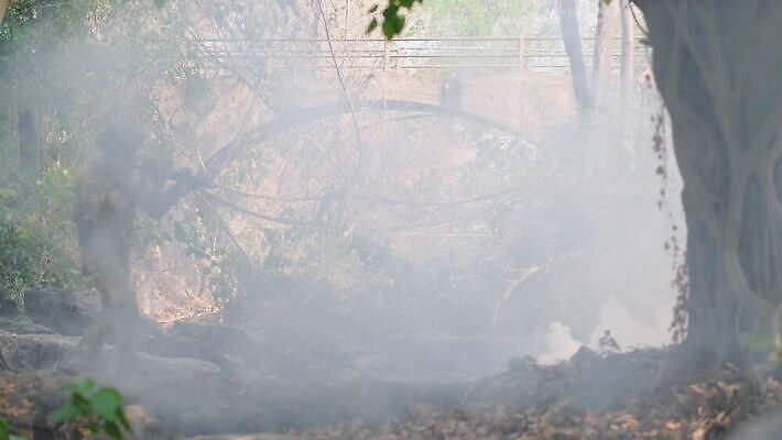 나무 아시아 무기 스포츠 바다 통신 군대 바나나 사람 여러명 야외 초록색 농장 공책 총 자유 네트워크 센터 수술 연기 숲 연결 공격 사이버 연습 라디오 군용 싸움 전쟁 감시 육군 변장 병정 명령 보병 작전 장교 제어 특별함 4K MOV 해외동영상 슬로모션 클립영상 식물 나라 컬러 다수 컨셉 농업 과일 의학 모션 문구용품 촬영기법 치료 전자제품 동영상 파일형식
