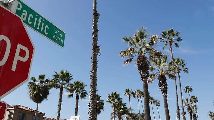 공원 도로 상징 텍스트 하늘 리조트 휴가 거리 간판 사람없음 여름 관광지 단어 야자수 뷰티 미국 산책로 표지판 클래식 이름표 캘리포니아 베네치아 태평양 봉 타운 로스앤젤레스 열대기후 파라다이스 4K 오션사이드 산타모니카 MP4 해외동영상 클립영상 나무 문자 계절 공공시설 길 바다 여행 컨셉 북아메리카 교통시설 알림판 이탈리아 도시 동영상 파일형식