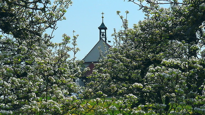 나무 꽃 종교 자연 독일 사람없음 야외 교회 봄 성장 벚꽃 영혼 과수원 시작 바이에른 세련 4K 락다운 MOV 해외동영상 클립영상 식물 계절 유럽 농업 종교건축 건물 생태계 동영상 파일형식