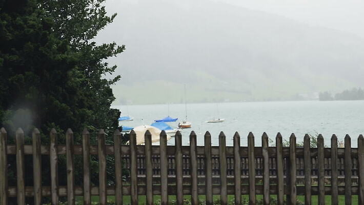 나무 식물 유럽 호수 파도 자연 바람 날씨 항해 파노라마 사람없음 울타리 봄 운전 안개 보트 정박 스위스 언덕 그림 잔물결 폭풍우 MOV 해외동영상 클립영상 자연요소 계절 나라 물결 바다 배_교통 모션 촬영기법 담장 비_날씨 자연재해 생태계 동영상 파일형식