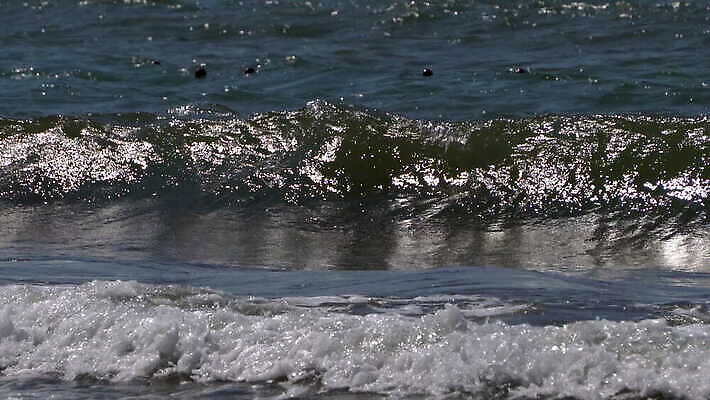 모래 파도 바다 섬 여행 자연 조류 하늘 표면 휴가 사람없음 물 파란색 태양 평화 환경 맑음 거품 낭만 흰색 만 서핑 떨어짐 썰물 휴양지 질감 롤 이국적 파라다이스 푸켓 4K MOV 해외동영상 클립영상 자연요소 동물 컬러 컨셉 태국 날씨 장소 수상스포츠 생태계 동영상 파일형식