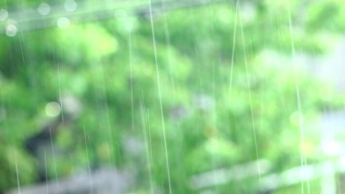 나무 식물 디자인 계절 백그라운드 컨셉 패턴 창문 자연 유리 표면 날씨 추상 동양인 사람없음 초록색 물 빛 젖음 흰색 물방울 신선 투명 떨어짐 숲 열대우림 빗방울 질감 분무기 폭풍 효과 4K HD MP4 해외동영상 클립영상 자연요소 컬러 무늬 재질 인종 비_날씨 생태계 동영상 파일형식
