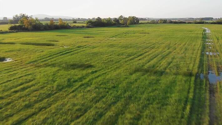 지구 이동 모션 자연 안테나 사람없음 초록색 하이앵글 햇빛 농장 농경지 일출 침묵 자유 시골 속도 심플 헝가리 과속 드론 밭일 위도 조감도 목가 4K MP4 해외동영상 클립영상 뷰포인트 컬러 컨셉 농업 통신 태양 노을 소리 생태계 동영상 동유럽 파일형식