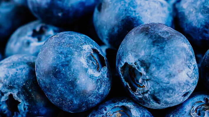 열매 음식 다이어트 과일 디저트 건강 사람없음 파란색 신선 그룹 달콤 에코 유기농 질감 블루베리 날것 내추럴 고립 숙성 채식주의자 맛있는 4K MOV 해외동영상 클립영상 식물 웰빙 컬러 환경 맛 채식 동영상 파일형식