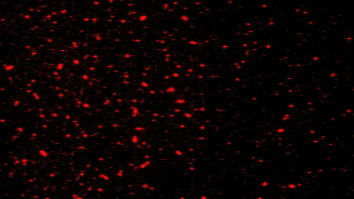 별 백그라운드 모션 사람없음 컴퓨터그래픽 뷰티 램프 속도 심플 애니메이션 모기 블러효과 더스트파티클 MOV 해외동영상 클립영상 자연요소 조명 그래픽 해충 동영상 블러 파일형식 효과