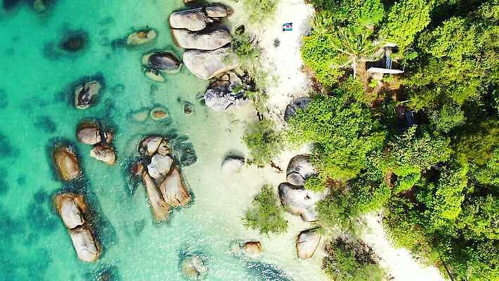 나무 백그라운드 해변 사람없음 초록색 4K MP4 해외동영상 클립영상 식물 바다 컬러 동영상 파일형식